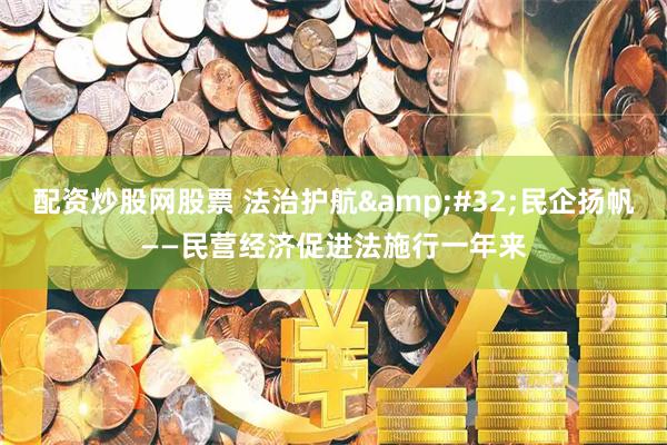 配资炒股网股票 法治护航 民企扬帆——民营经济促进法施行一年来