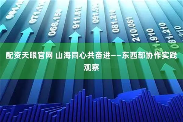 配资天眼官网 山海同心共奋进——东西部协作实践观察